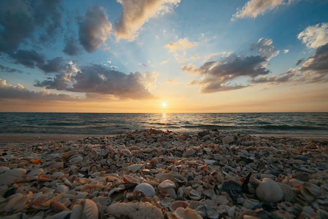 evening time sea shells on beach