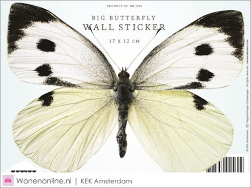 kek-amsterdam-vlinder-butterfly-muurstickers-2