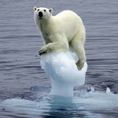 PolarBear