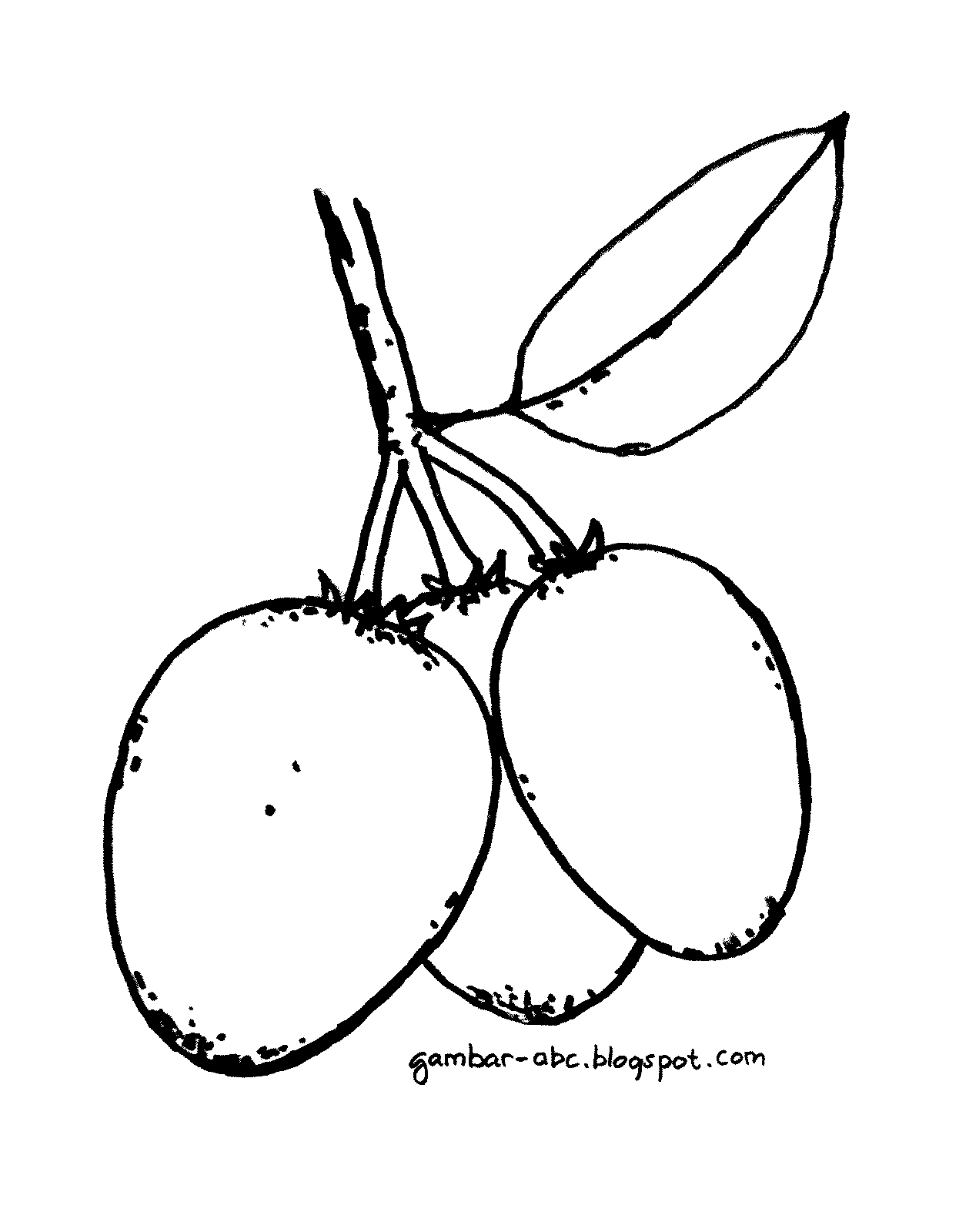 Gambar Warna Buah BELAJAR MEWARNAI