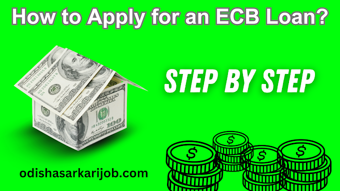 How to Apply for an ECB Loan odisha sarkari job.com - How to Apply for an ECB Loan odisha sarkari job.com