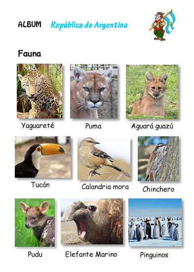 fauna tipica de Argentina