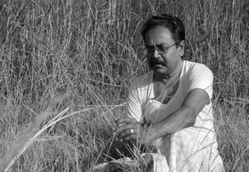 kalyanji