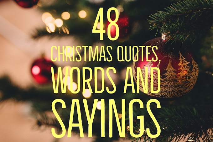 🎄48 Christmas Quotes, Words And Sayings🎄