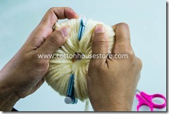 DSC_1402_pompom