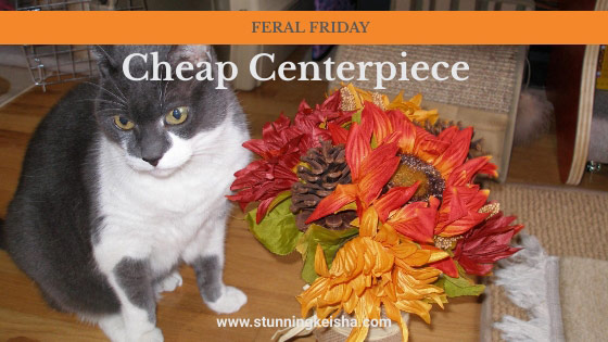 Feral Friday: Cheap Centerpiece