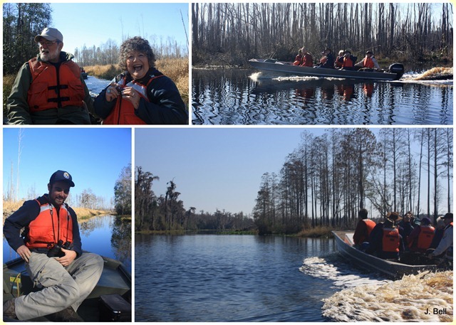 71 Okefenokee NWR 2012-1341