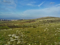 Monte Monacelle - Minervino Murge