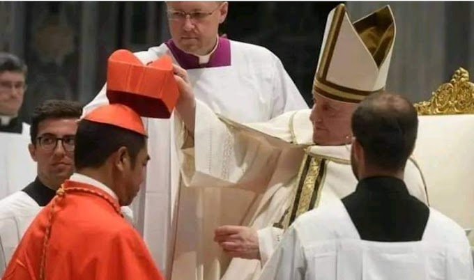 Rejected Bishop in imo state now Cardinal in Rome 