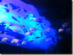 DSCF7725