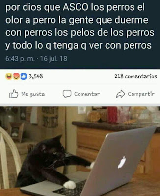 Meme de humor : Gato posteando contra los perros en Facebook