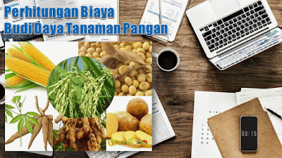 Perhitungan Biaya Budi Daya Tanaman Pangan