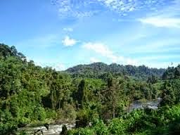 Tempat Wisata Taman Nasional Bukit Tiga Puluh