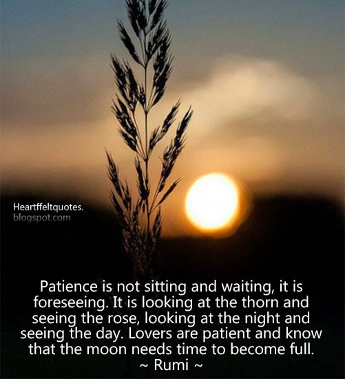 Patience is not sitting and waiting, it is foreseeing 