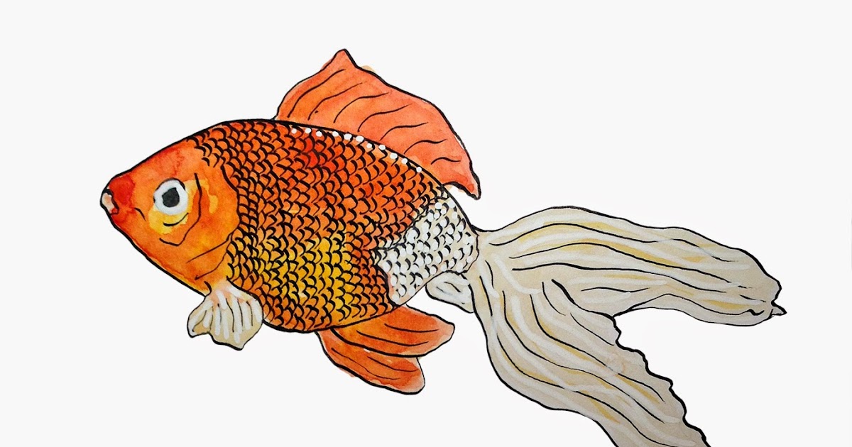 Pulling Prints: Drawing a Day 81 - Goldfish 2