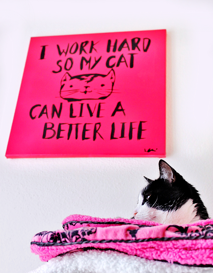 I Work Hard So My Cat Can Live A Better Life- Grab the wall art template and check out our Top 10 Catisms! #YouGottabeKittenMe (AD)