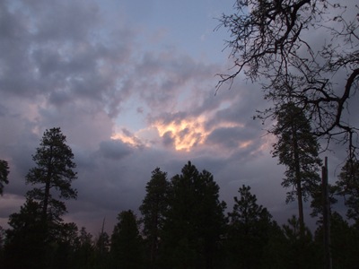 DSCF0458