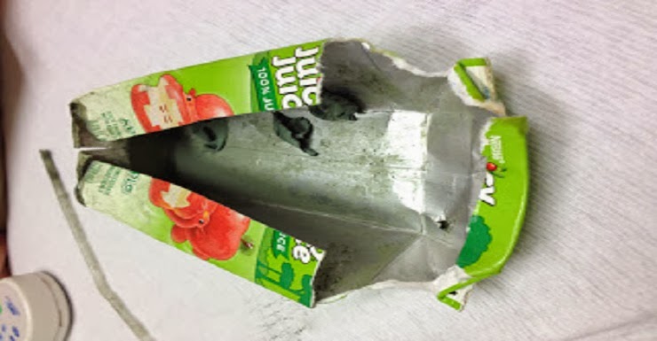 Why I Stopped Buying Juice Boxes (The picture will gross you out…)