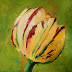 Tulip, Floral Paintings by Arizona Artist Amy Whitehouse