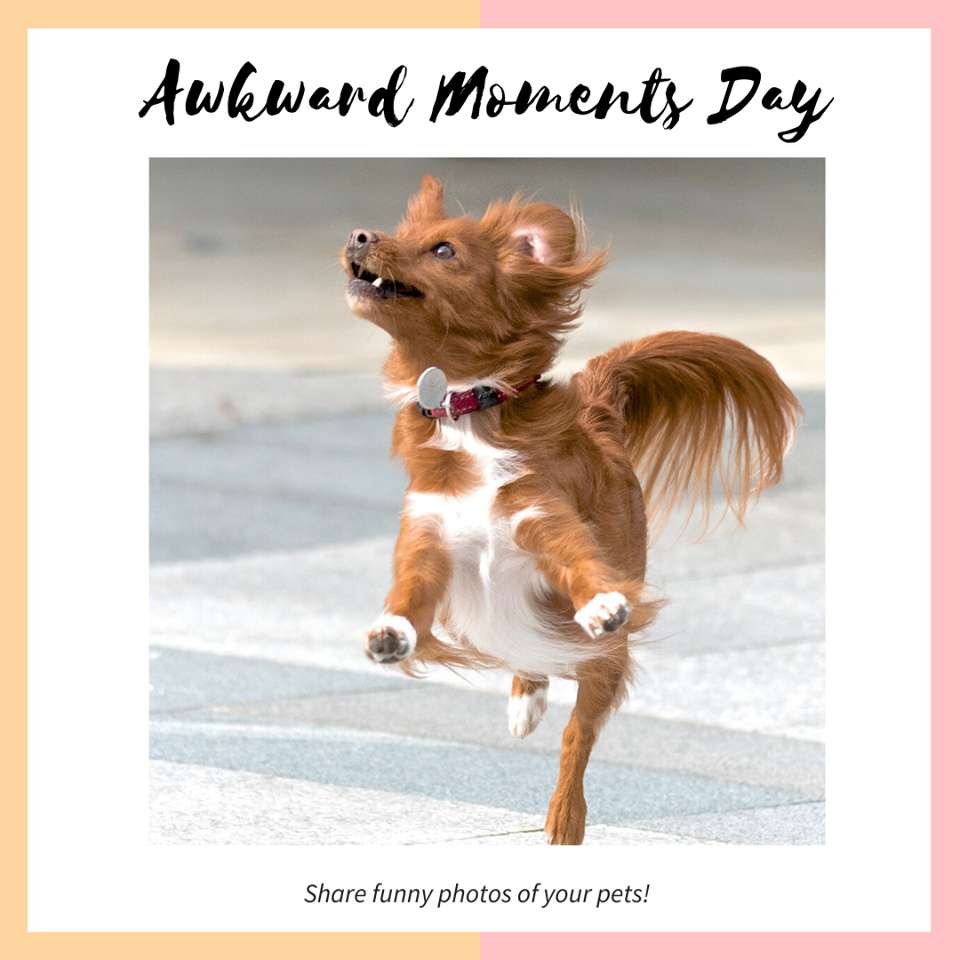 Awkward Moments Day Wishes for Instagram