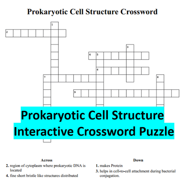 Prokaryotic Cell Structure Crossword Puzzle