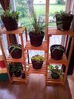 Muebles para plantas