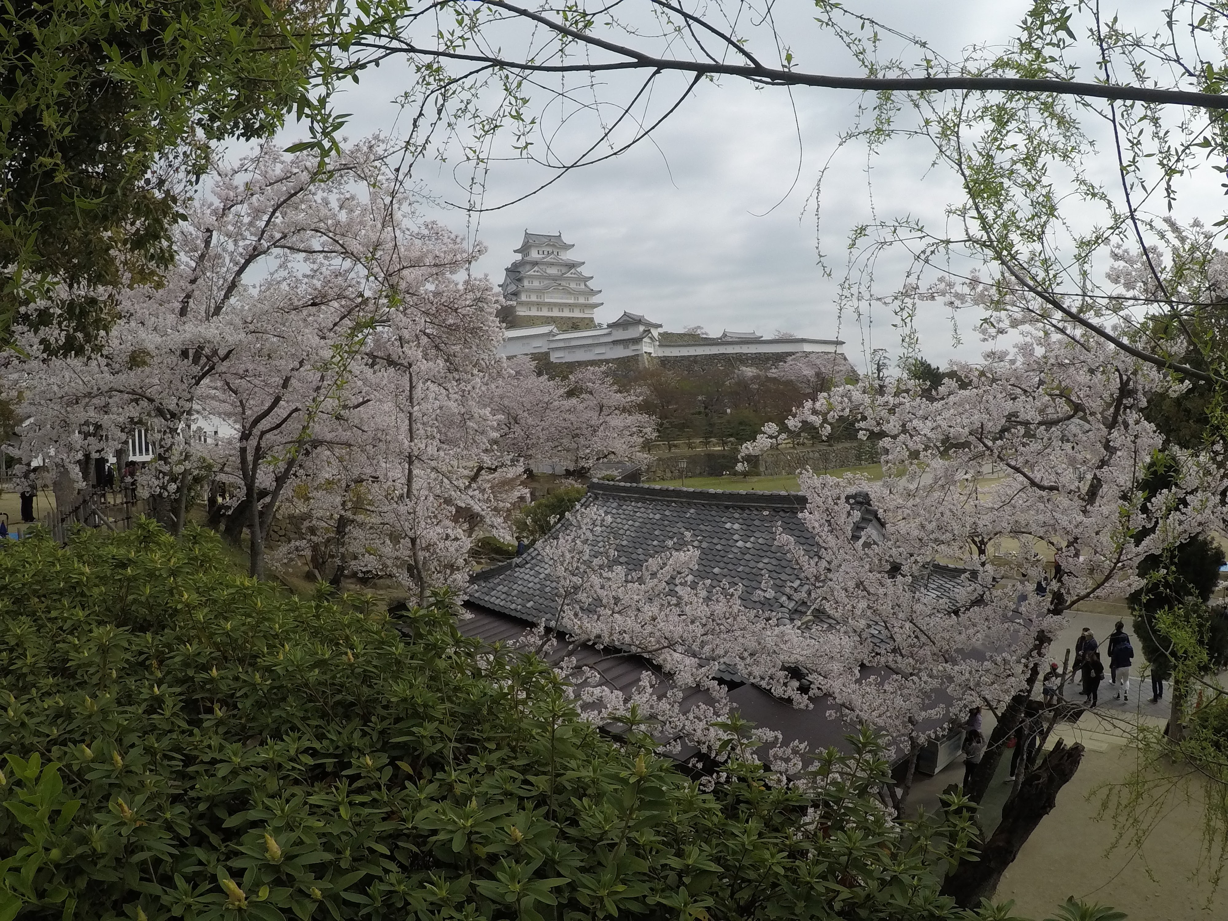 Travelog Japan, Spring: Himeji Castle dan Amanohashidate