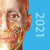 Human Anatomy Atlas 2023 مهكر
