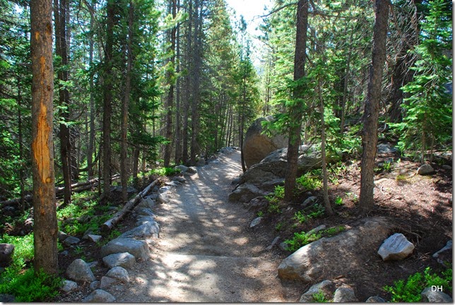 06-23-14 A RMNP Alberta Falls Loop (2)
