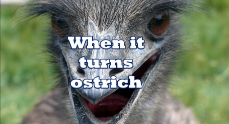 Watch the reaction of the ostrich when he tried one of the persons photographed