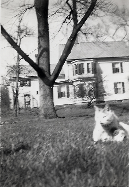 Wright Cat, Northampton, MA abt 1938