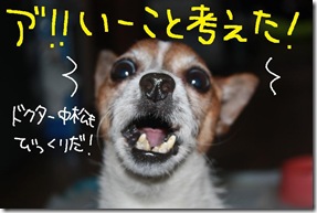 今日カズ１００１０４　３