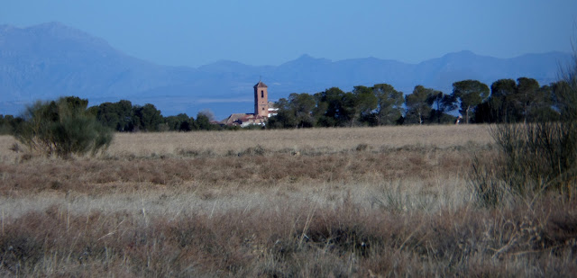 Torre de la iglesia,  Albuñan