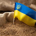 Az EU korlátlanul beengedné a közös piacra az ukrán gabonát - a lengyel uniós biztos tiltakozik