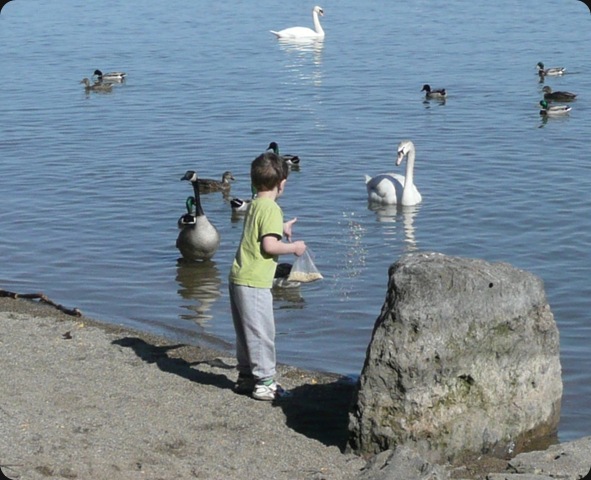 feeding time