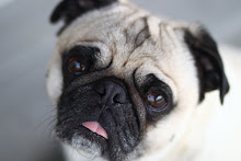 Otis
