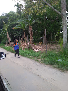 keningau pedalaman sabah malaysia