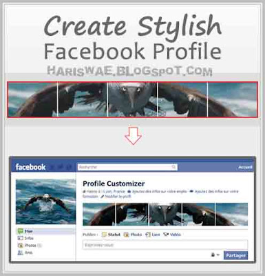 Merubah Tampilan Profil Facebook Dengan Apps Profile Customizer