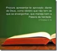 clip_image003