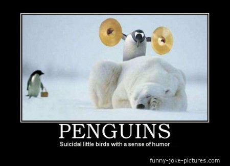 Penguin Meme ~ Funny Joke Pictures