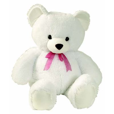 Cute teddy bears pictures