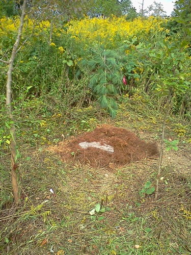 Rick's Grave 1.jpg Rick s Grave 1
