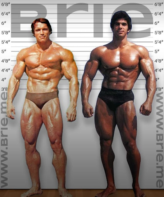 Arnold Schwarzenegger height comparison with Lou Ferrigno