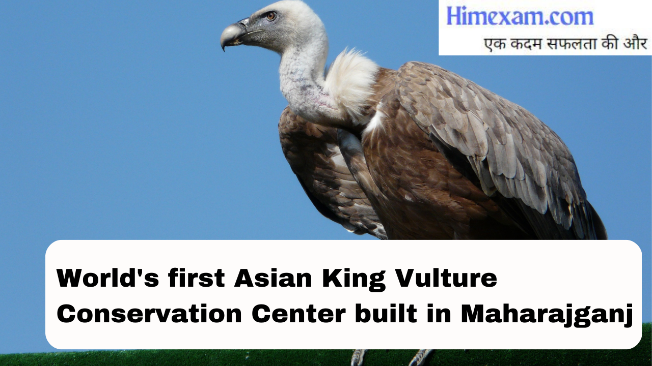 World's first Asian King Vulture Conservation Center built in Maharajganj