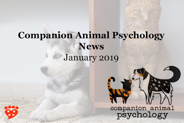 A ginger cat and a Siberian husky puppy; text reads Companion Animal Psychology News