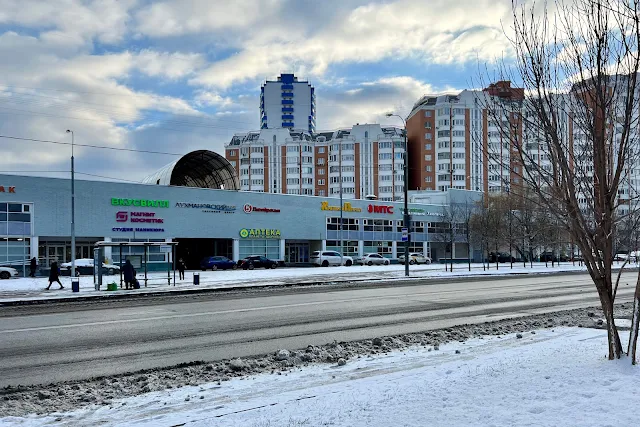 Лухмановская улица, торговый центр «Лухмановский»