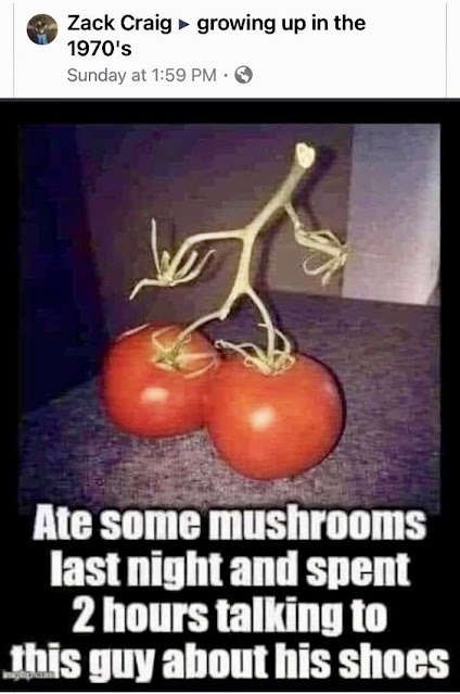 Ate mushrooms late night.. @follow @share