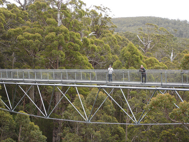 Valley of the Giants: passarela entre árvores na Austrália