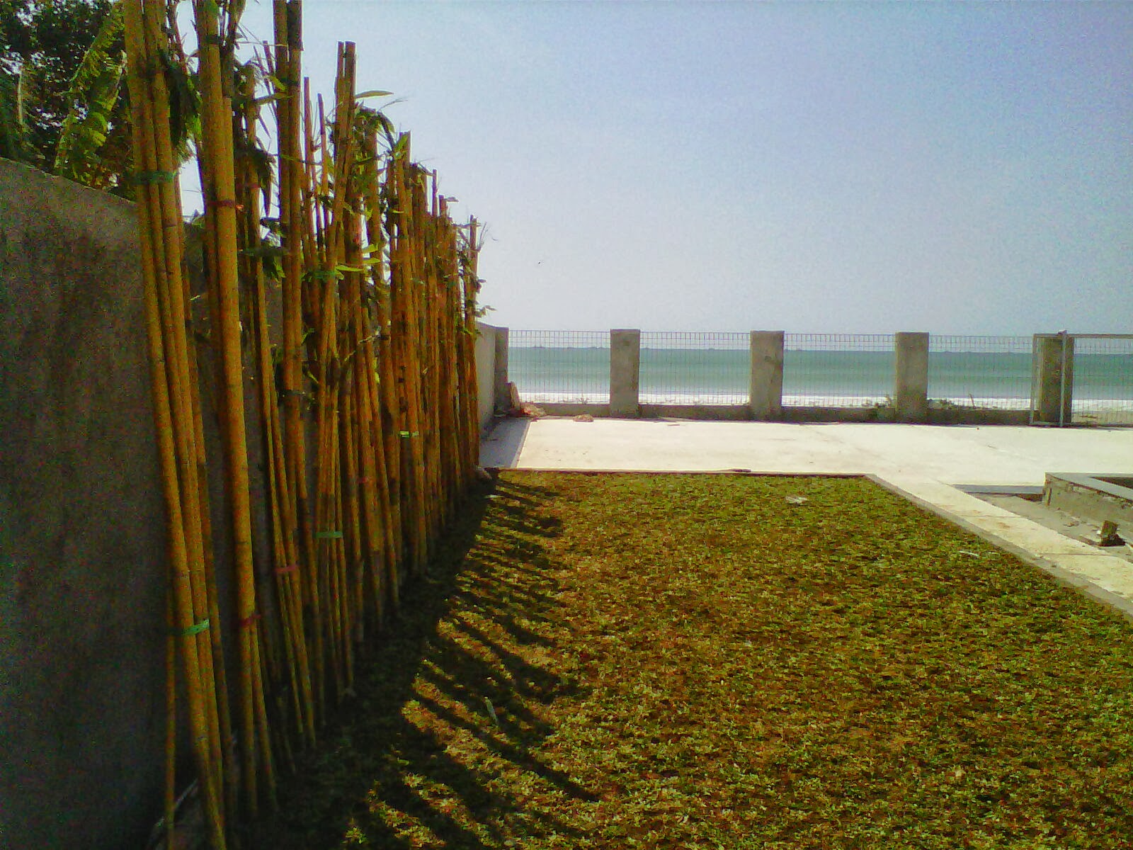  bambu  kuning bambu  hias bambu  pagar  bambu  panda 