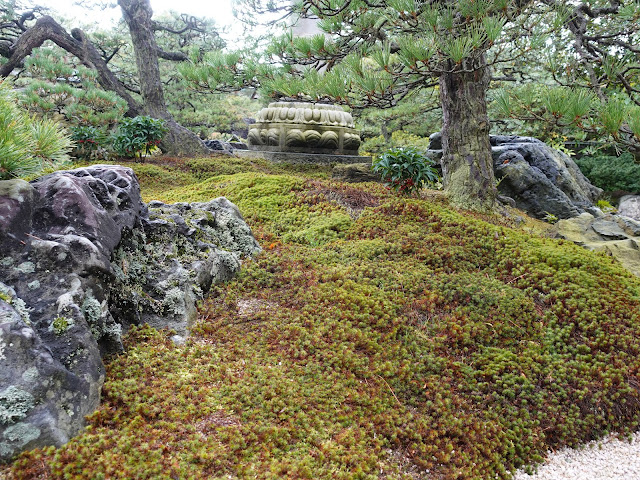 足立美術館の池庭